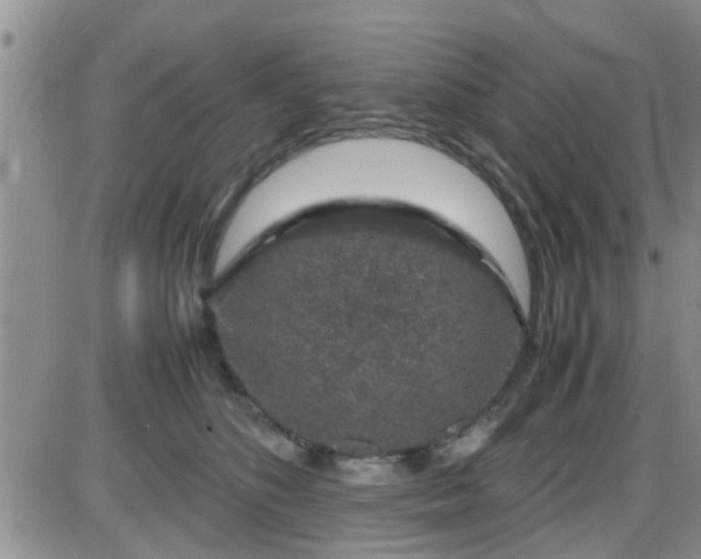 X0000085310516200703231927