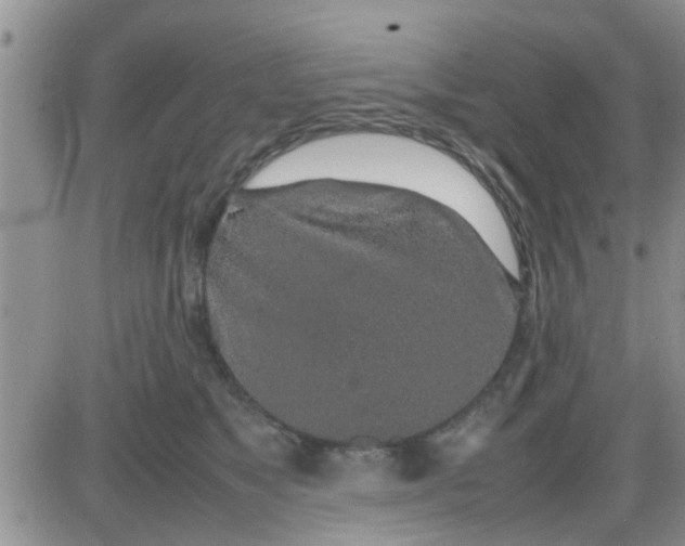 X0000085310517200703231927