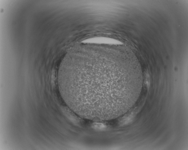 X0000085310519200703231927