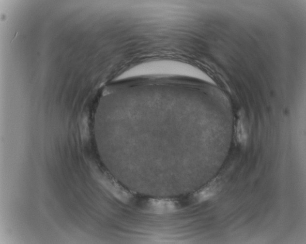 X0000085310520200703231927