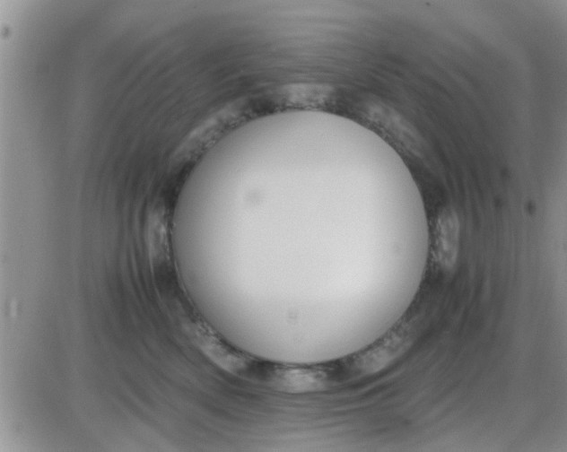 X0000085310522200703231927