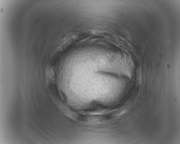 X0000085310523200703231927