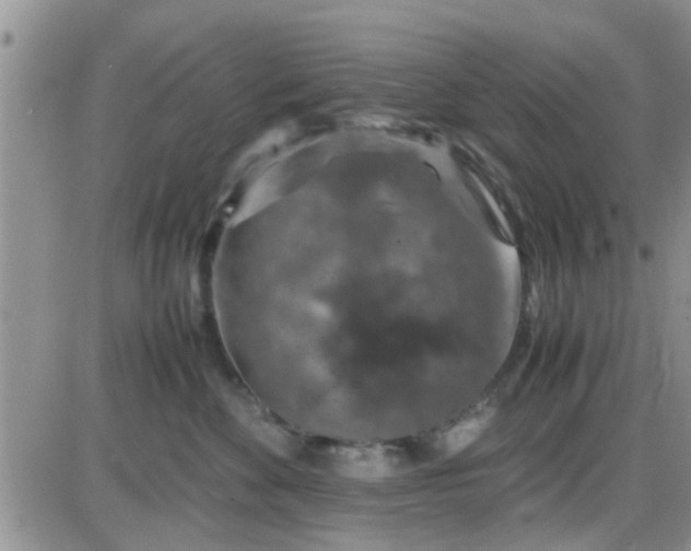 X0000085310524200703231927