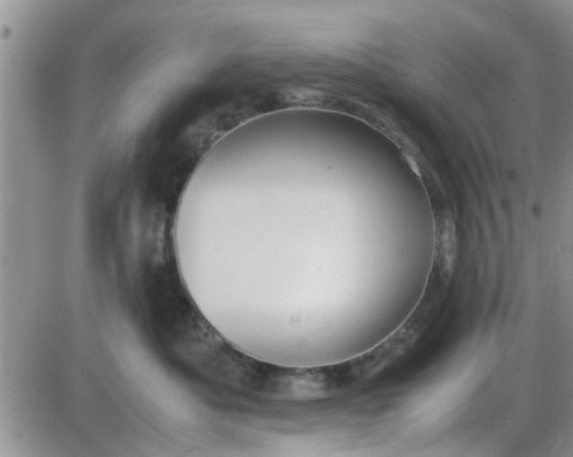 X0000085310525200703231927