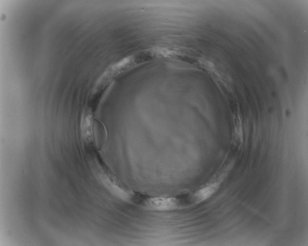 X0000085310526200703231927