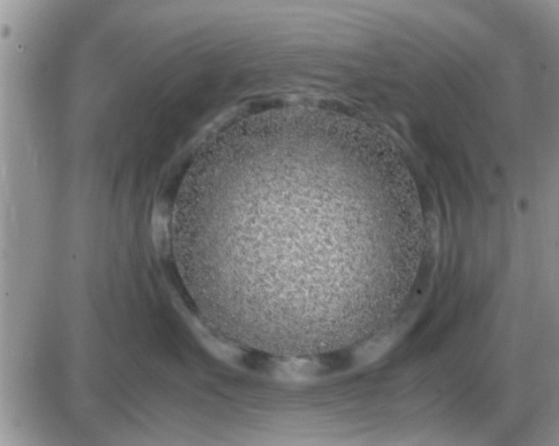 X0000085310527200703231927