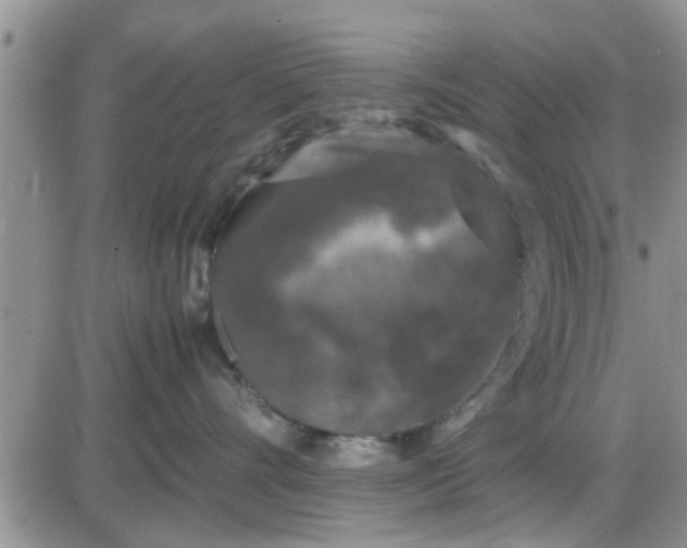 X0000085310528200703231927