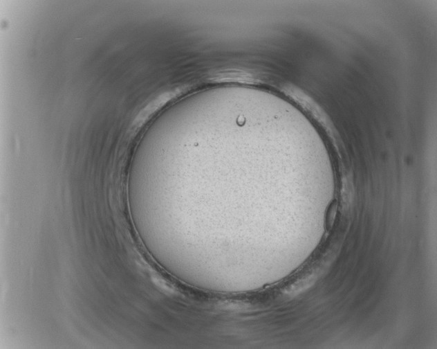 X0000085310529200703231926