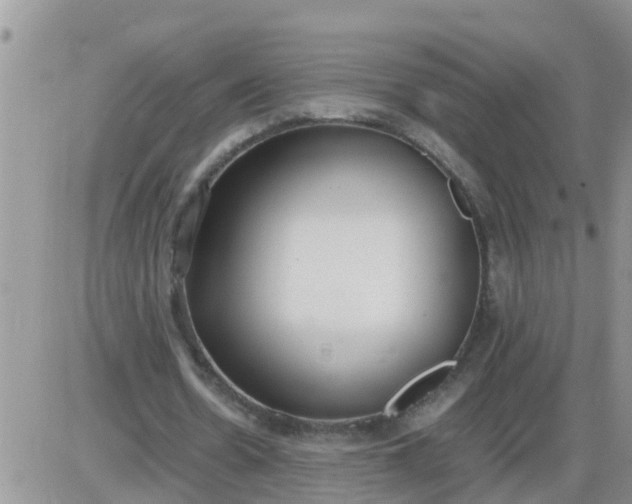 X0000085310530200703231926