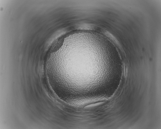 X0000085310531200703231926