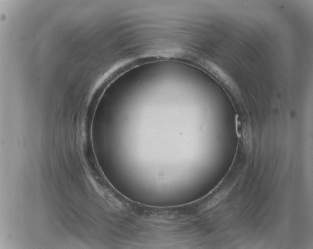 X0000085310532200703231926