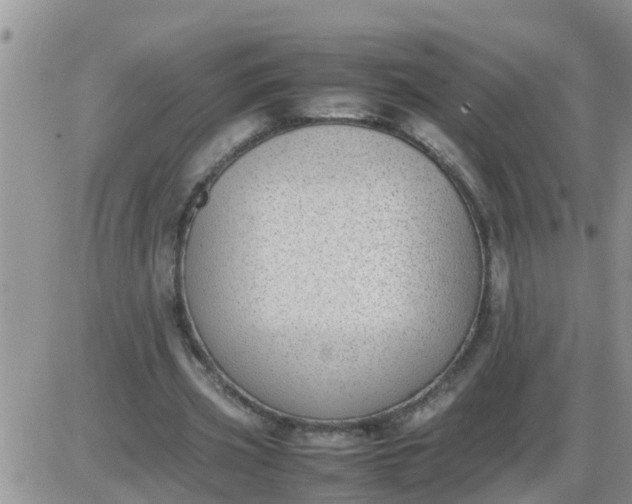 X0000085310533200703231926