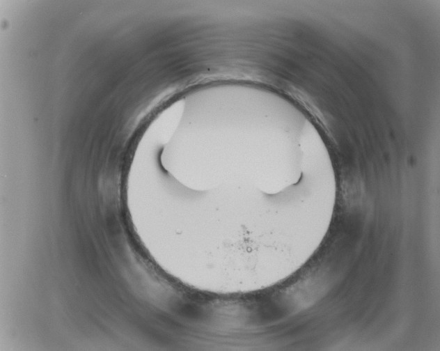 X0000085310534200703231926