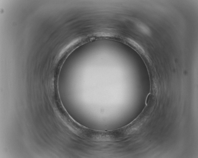 X0000085310535200703231926