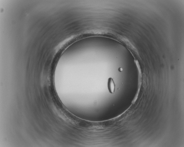 X0000085310536200703231926