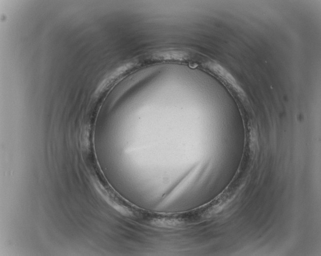 X0000085310537200703231926