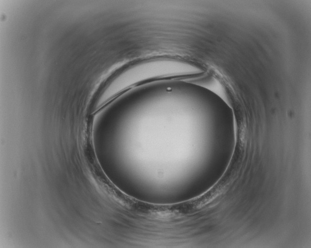 X0000085310540200703231926