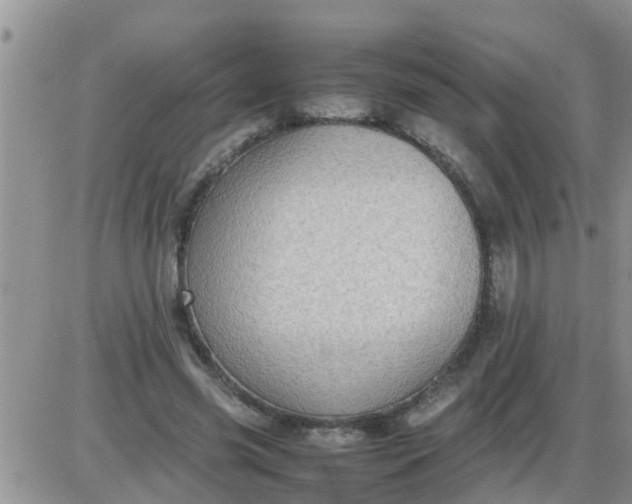 X0000085310541200703231926