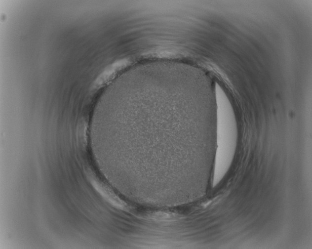 X0000085310542200703231926