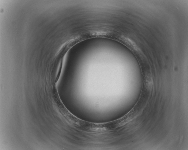 X0000085310543200703231926