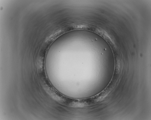 X0000085310545200703231926