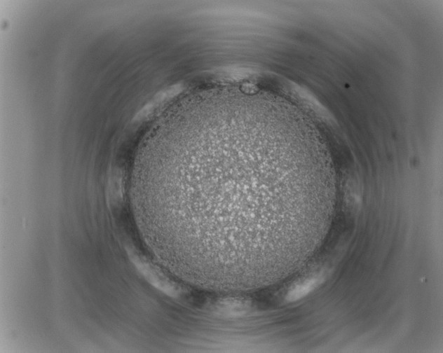 X0000085310546200703231926