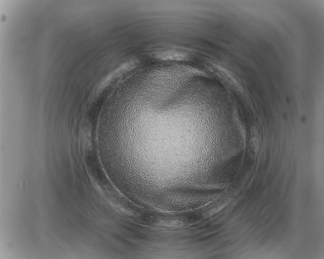 X0000085310547200703231926