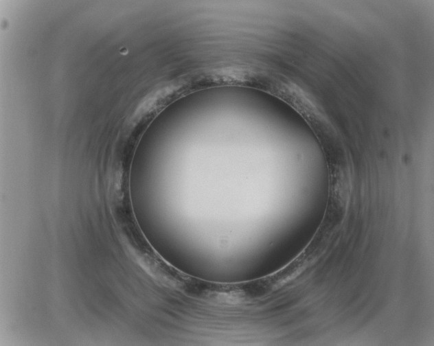 X0000085310548200703231926