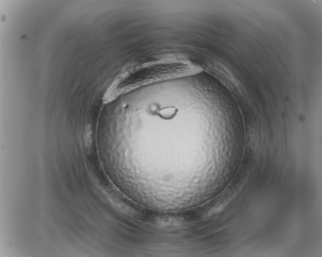 X0000085310549200703231926