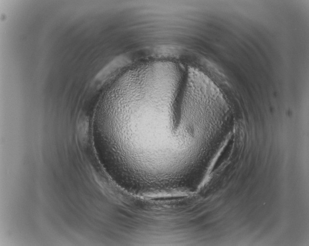 X0000085310550200703231926