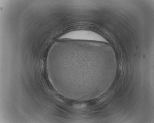 X0000085310551200703231926