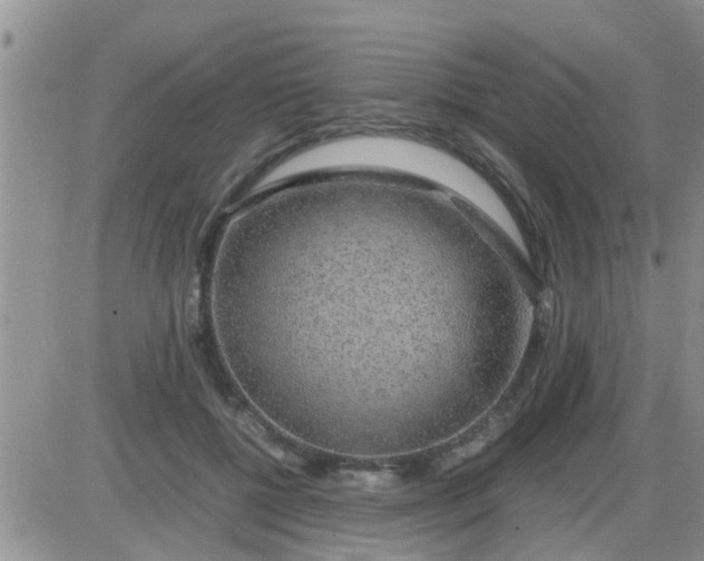 X0000085310552200703231926