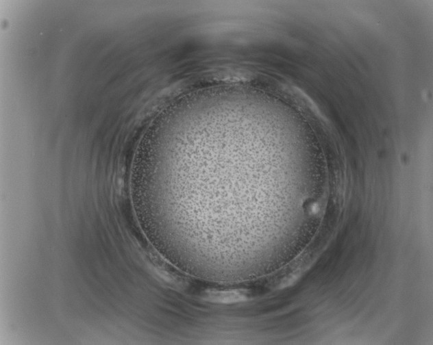 X0000085310553200703231926