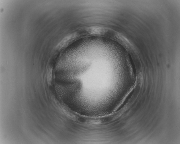 X0000085310554200703231926