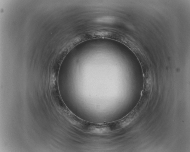 X0000085310555200703231926