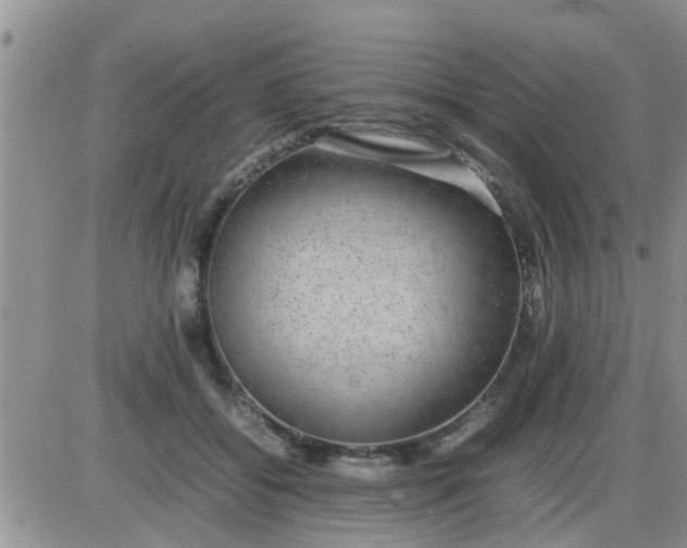 X0000085310556200703231926