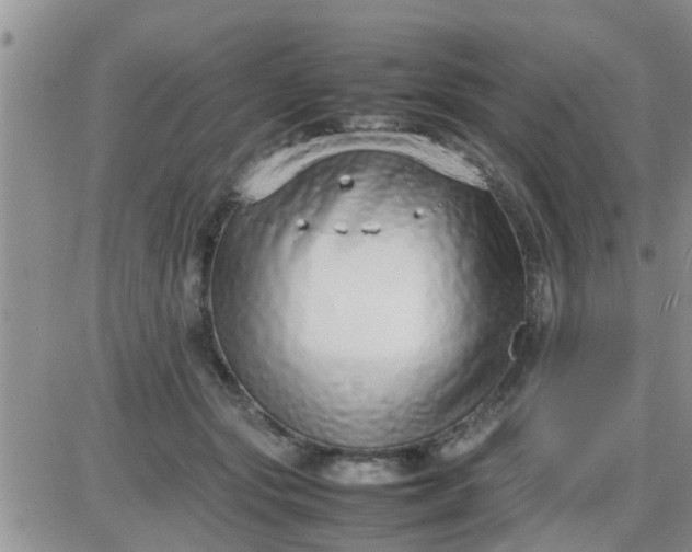 X0000085310557200703231926