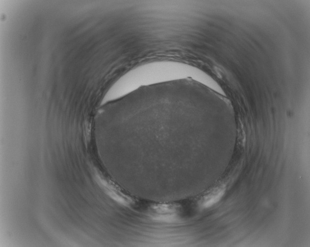 X0000085310558200703231926