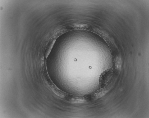 X0000085310559200703231926