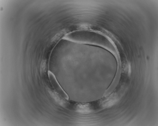 X0000085310560200703231926