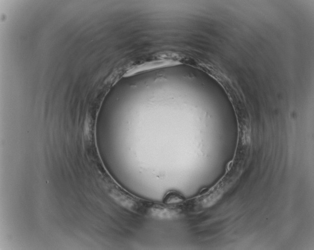 X0000085310561200703231926