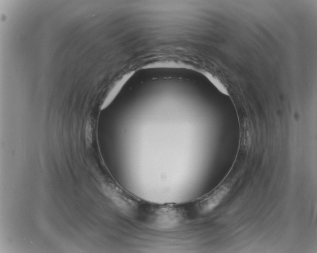 X0000085310562200703231926