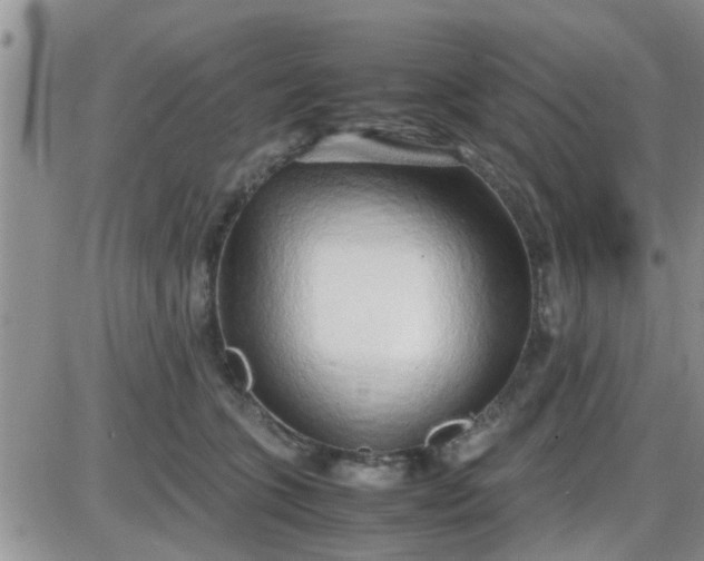 X0000085310563200703231926