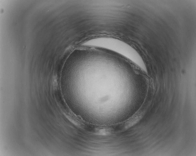 X0000085310564200703231927