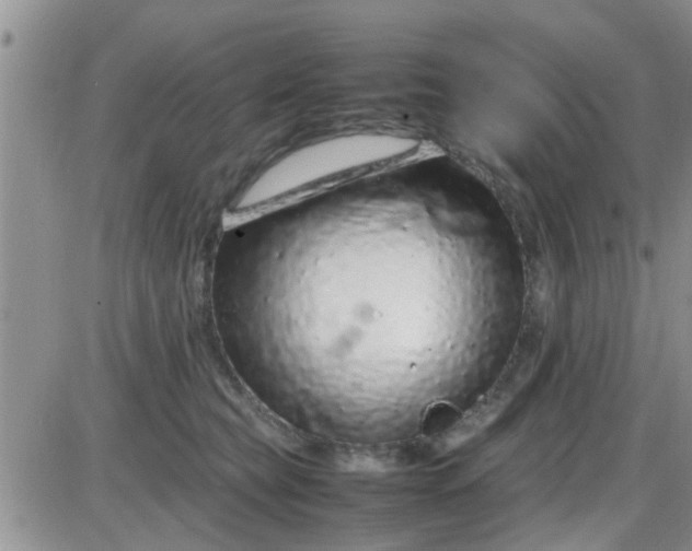 X0000085310565200703231927