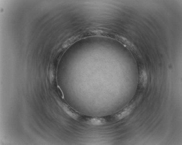 X0000085310566200703231927