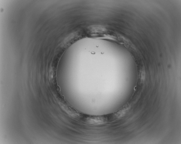 X0000085310567200703231927