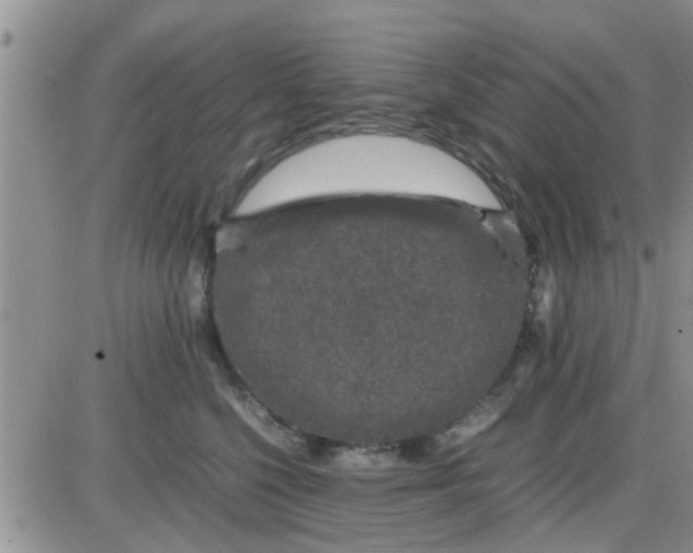 X0000085310568200703231927