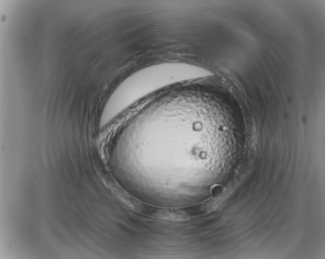 X0000085310569200703231927