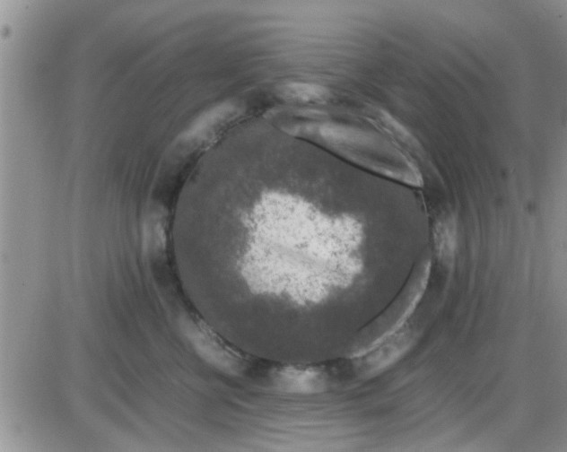 X0000085310570200703231927